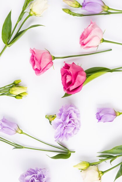 Assortiment de fleurs pastel avec des feuilles