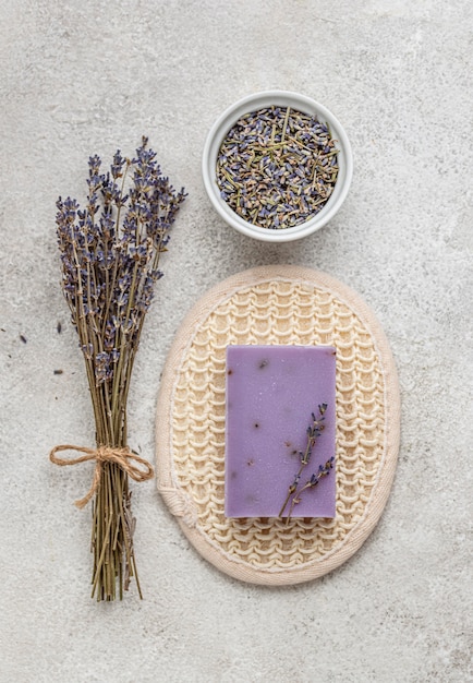 Assortiment de plantes et de propriétés sur une table