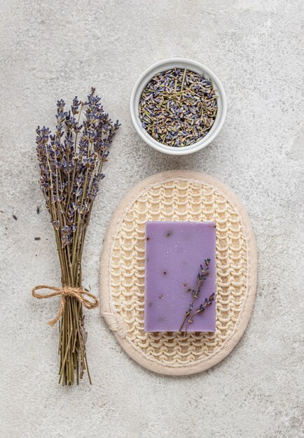 Assortiment de plantes et de propriétés sur une table