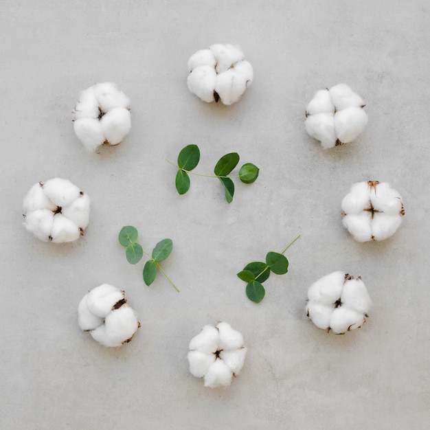 Assortiment de vue de dessus avec des fleurs en coton