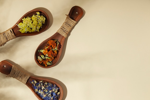 Au-dessus, des cuillères en bois avec des plantes