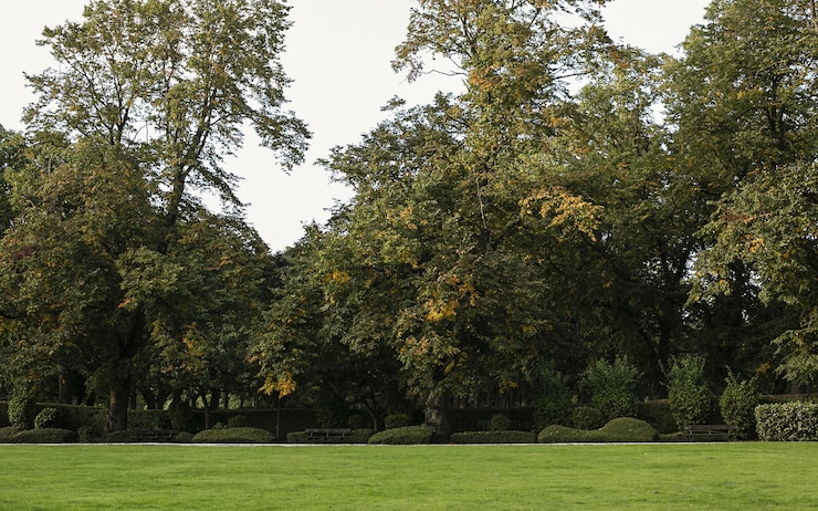 Photo gratuit l'automne à leeds hyde park
