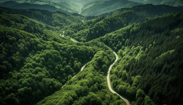 Aventure tranquille dans la nature sauvage de la chaîne de montagnes de la prairie verte générée par l'IA