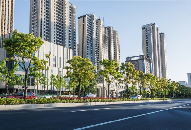 Avenue avec des arbres verts