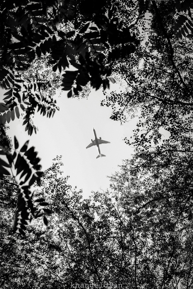 Photo gratuit avion survolant une forêt