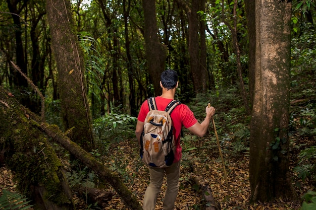 Backpacker explorant la forêt sombre