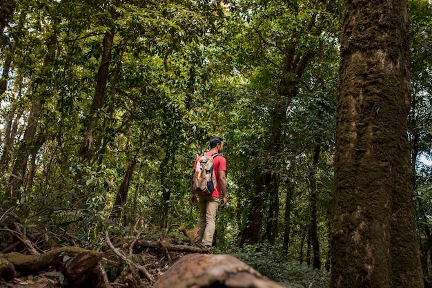 Backpacker en forêt profonde