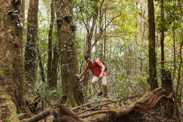 Backpacker in forest