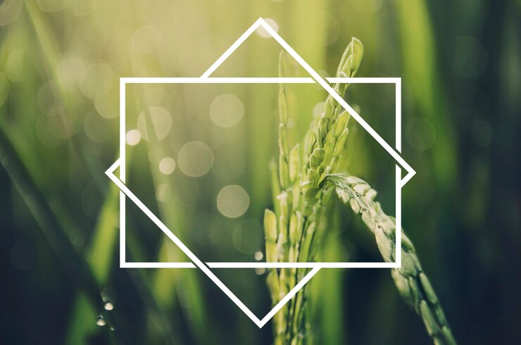 Photo gratuit badge bannière étiquette espace copie vierge