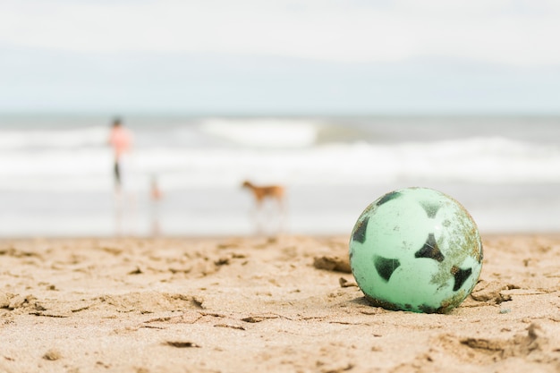 Photo gratuite balle sur la côte de sable et personne avec chien près de l'eau