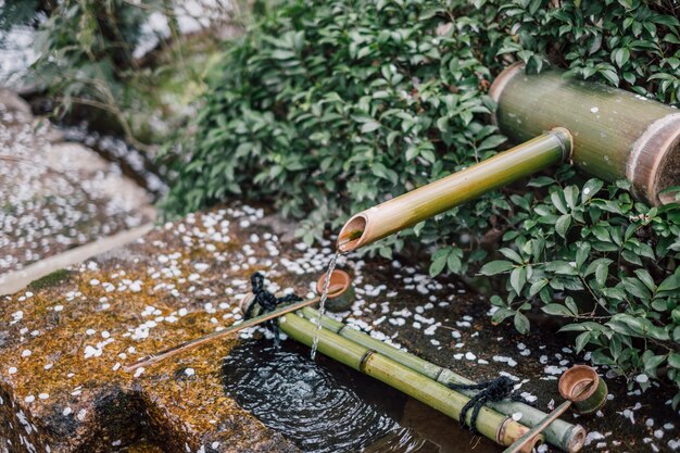 bambou verser de l&#39;eau et de la feuille de sakura