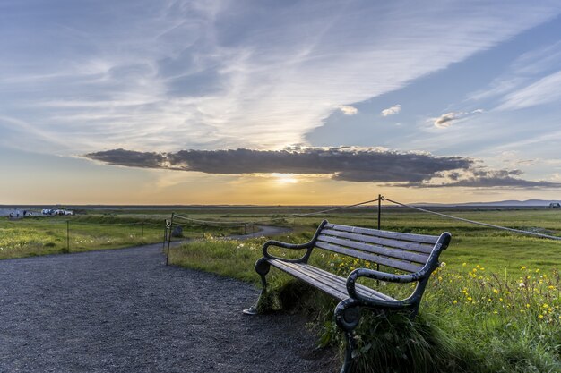 Banc en bois dans un champ couvert de verdure sous le soleil en Islande