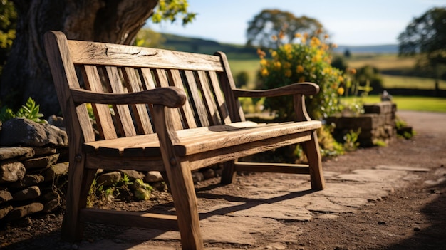 Banc en bois dans le parc par une journée ensoleillée Panorama