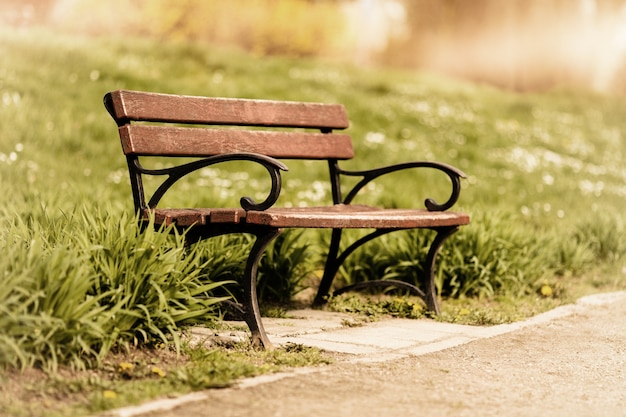 Banc en bois isolé dans le parc