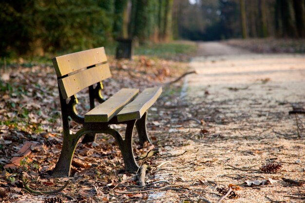 Banc dans un parc