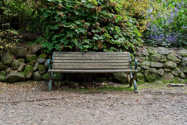 Photo gratuite bancs de parc