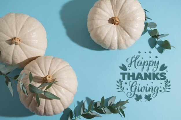 Bannière du jour de thanksgiving avec vue de dessus de citrouilles blanches