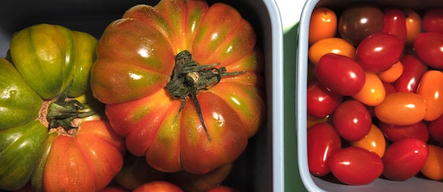 Photo gratuite bannière de supermarché avec de la nourriture