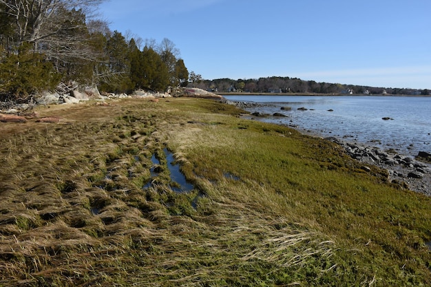 Bassins de marée le long d'un marais salé au bord de l'océan