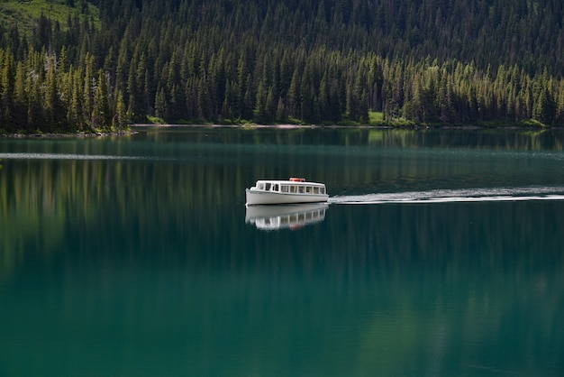 Bateau dans le lac clair entouré de forêt verte