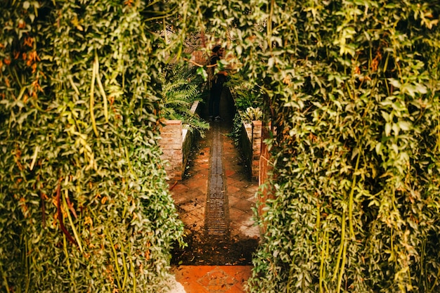 Bâtiment avec beaucoup de végétation