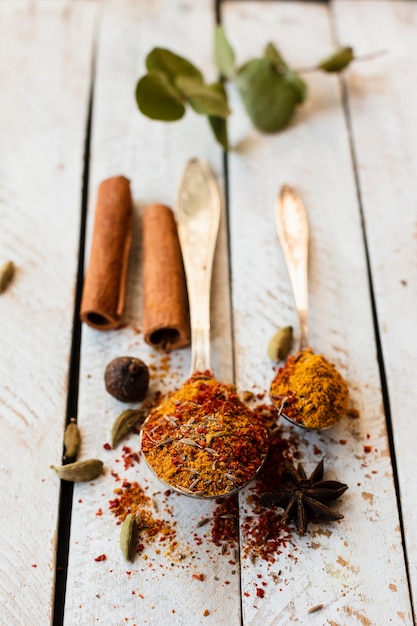 Photo gratuite bâtons de cannelle et une cuillère avec des épices indiennes