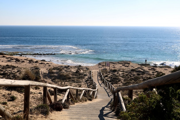 Photo gratuite beau bord de mer