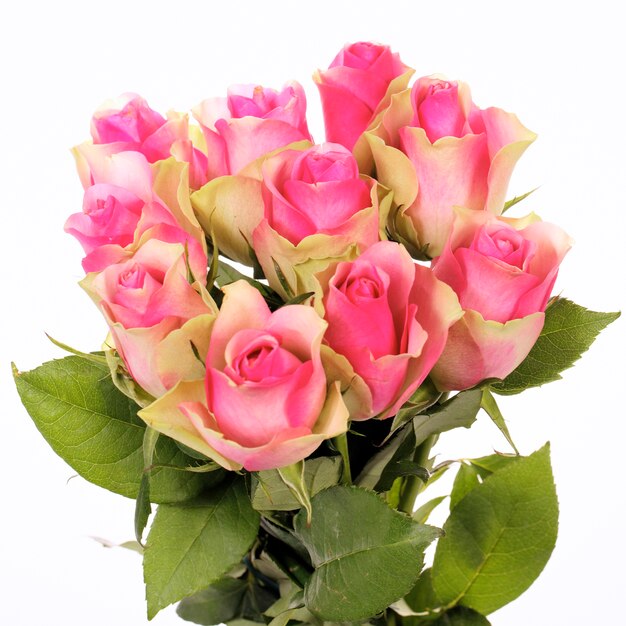Beau bouquet de roses roses isolé sur blanc