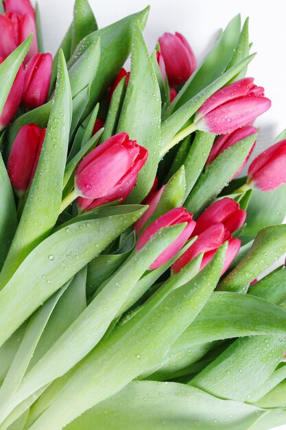 Beau bouquet de tulipes