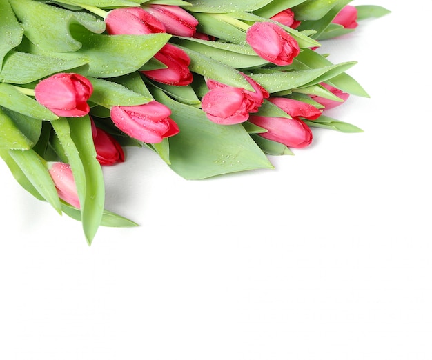 Beau bouquet de tulipes