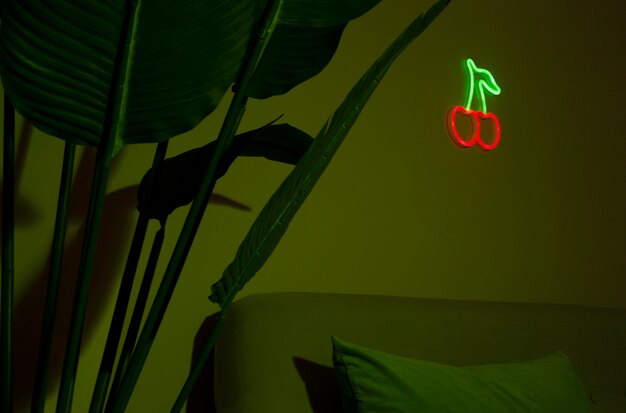 Beau cactus cerise dans la chambre