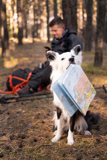 Beau chien noir et blanc tenant une carte