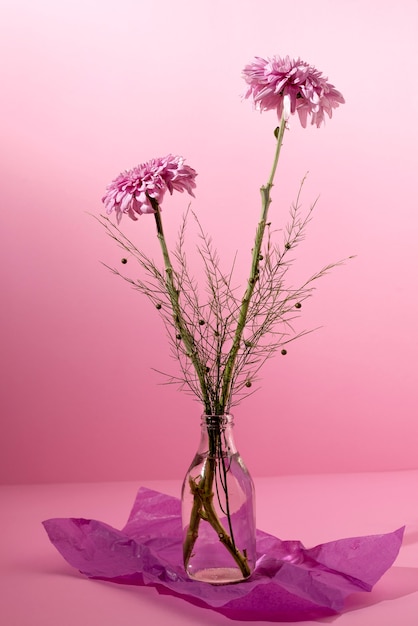 Beau chrysanthème dans un vase