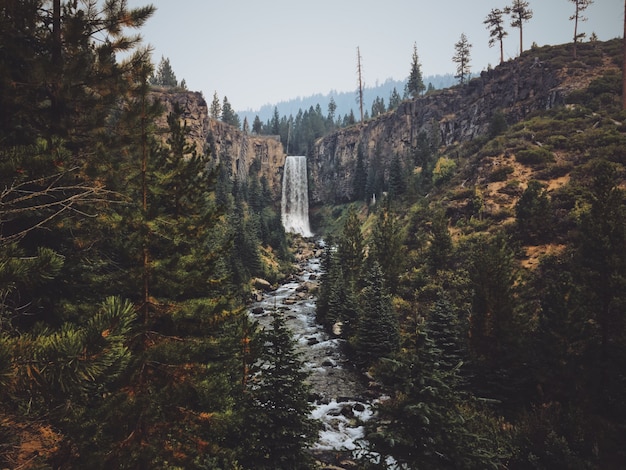 Beau cliché de la cascade de Tumalo au milieu de la forêt