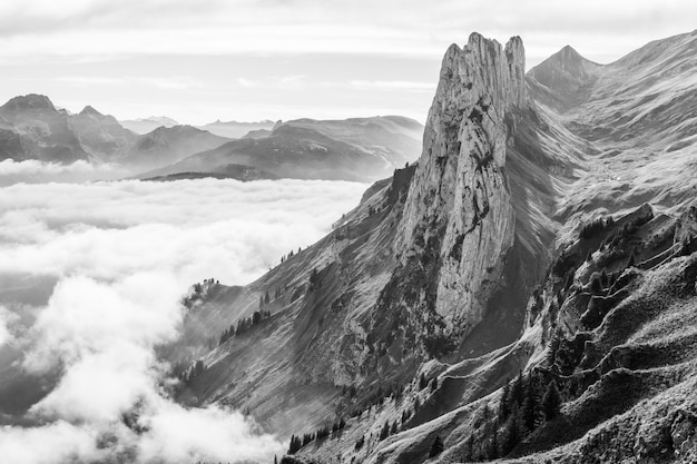 Beau cliché d'une montagne au-dessus des nuages en noir et blanc