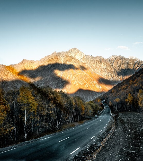 Beau cliché d'une route entourée d'arbres