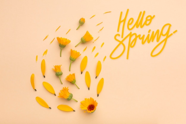 Beau collage de printemps bonjour