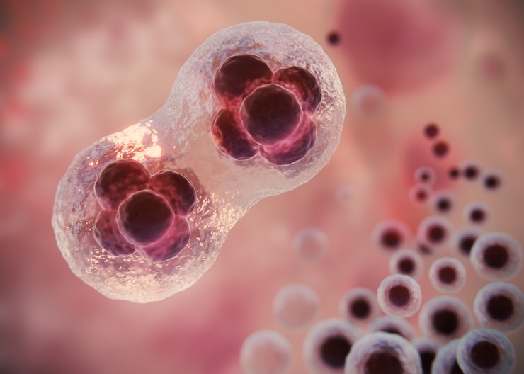 Photo gratuit beau concept de fertilité en rendu 3d