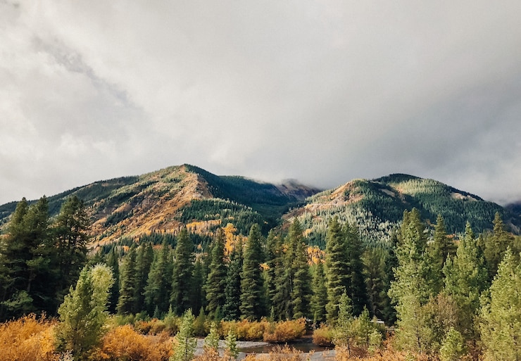 Photo gratuit beau coup d'arbres près de l'eau avec des montagnes boisées et un ciel nuageux