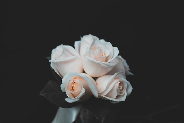 Beau coup de bouquet de fleurs de rose blanche