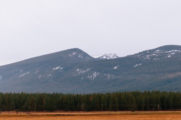 Beau coup d'un champ sec avec de la verdure et de hautes collines et montagnes rocheuses