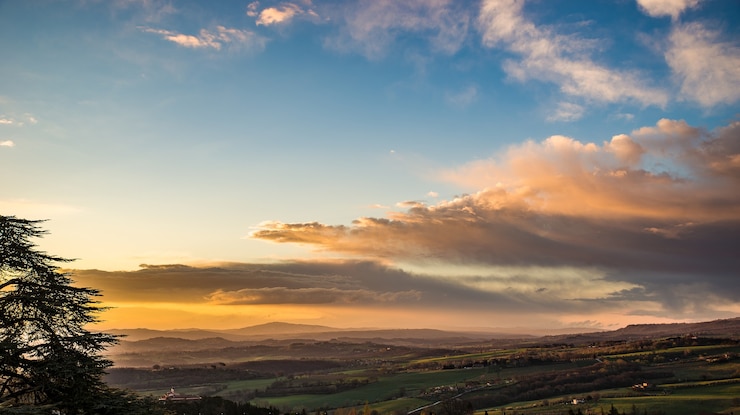Photo gratuit beau coup de champs herbeux avec des arbres sous un ciel bleu nuageux