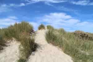 Photo gratuite beau coup d'une colline de sable avec des buissons et un ciel bleu