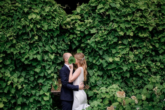 Beau couple amoureux près du mur recouvert de lierre vert, couvrant les visages avec des feuilles