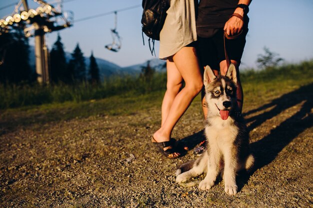 Beau couple et un chien sur une colline en regardant le coucher du soleil