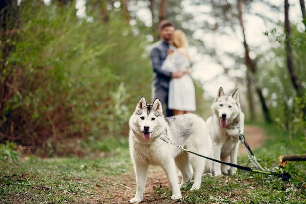 Beau couple dans une forêt en été avec un chien