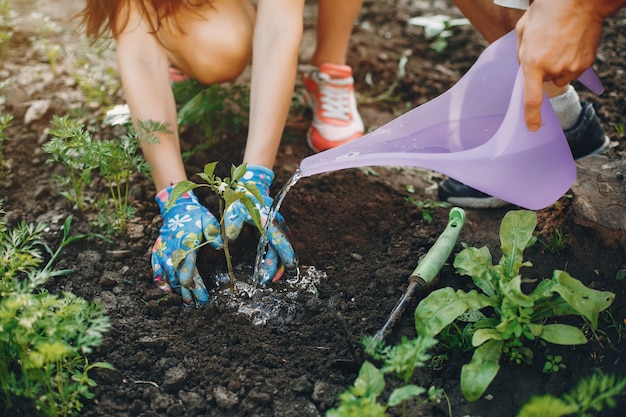 Beau couple travaille dans un jardin