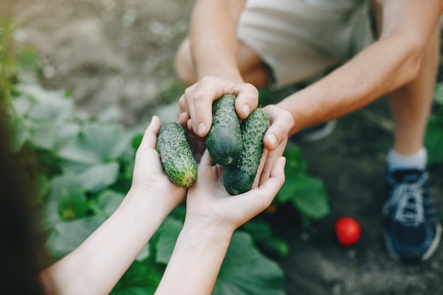 Beau couple travaille dans un jardin