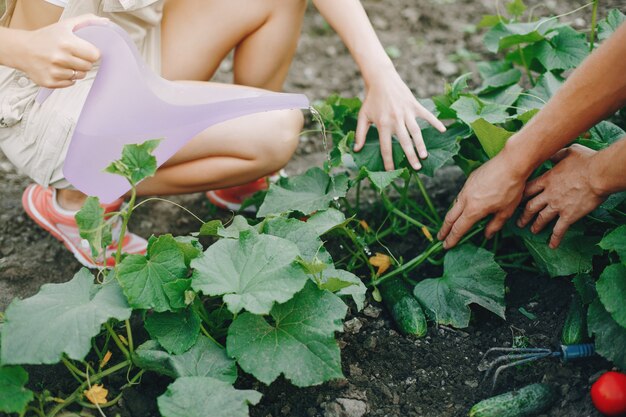 Beau couple travaille dans un jardin