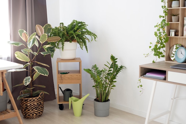 Photo gratuite beau design d'intérieur avec des plantes vertes